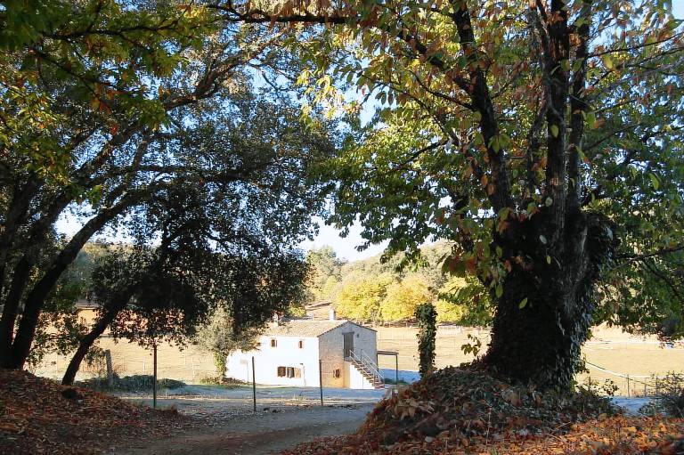 Casa rural Los Marines