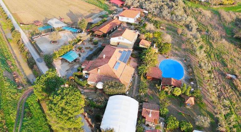 Pleasant house with private pool & yard | Pets allowed in Ascea