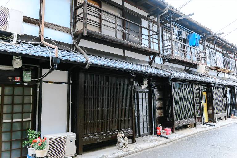 Nishioji Tanuki — photo 3