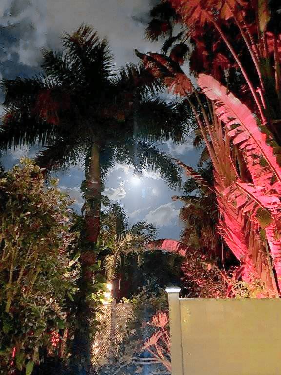 House  Siesta Key