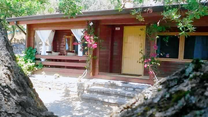 Chalet Casal Velino