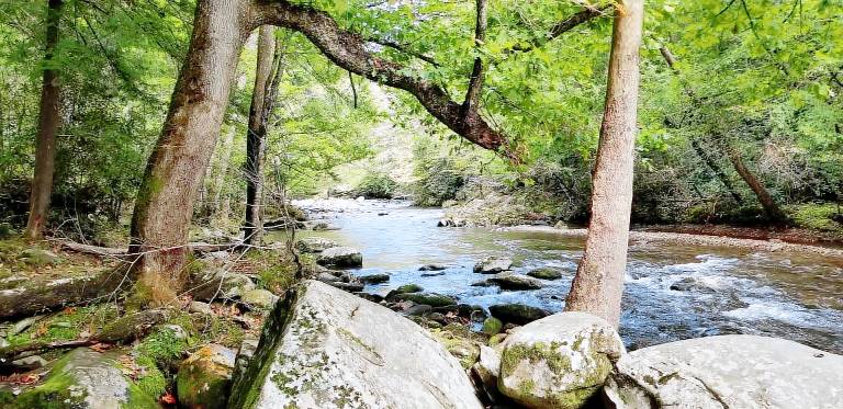 Condo Gatlinburg