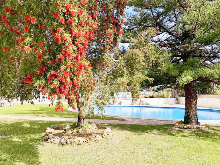 Ferienwohnung in Benidorm, Terra Natura für max. 2 Personen, Ferienwohnung in Benidorm, Terra Natura für max. 2 Personen,