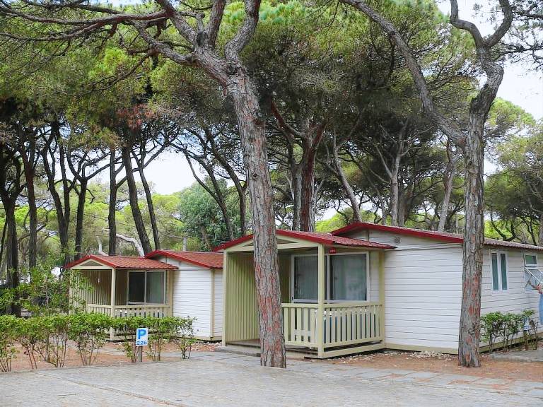 Campismo  Trafaria