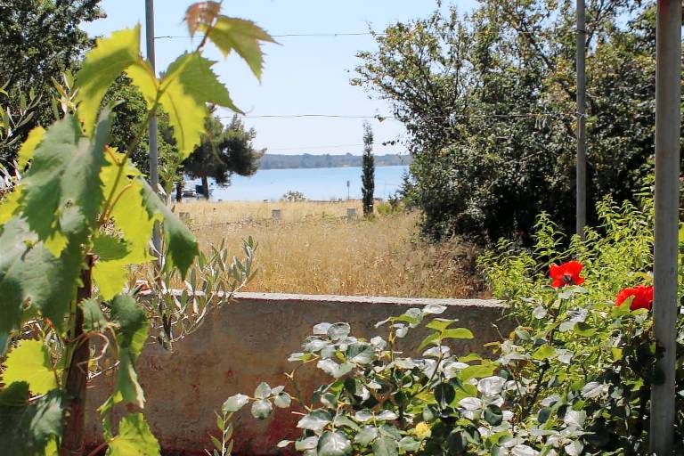 Apartament Soline