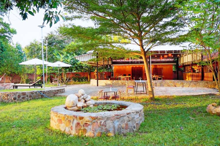 Sun & Roots Lodge Restaurant and Bar — photo 3