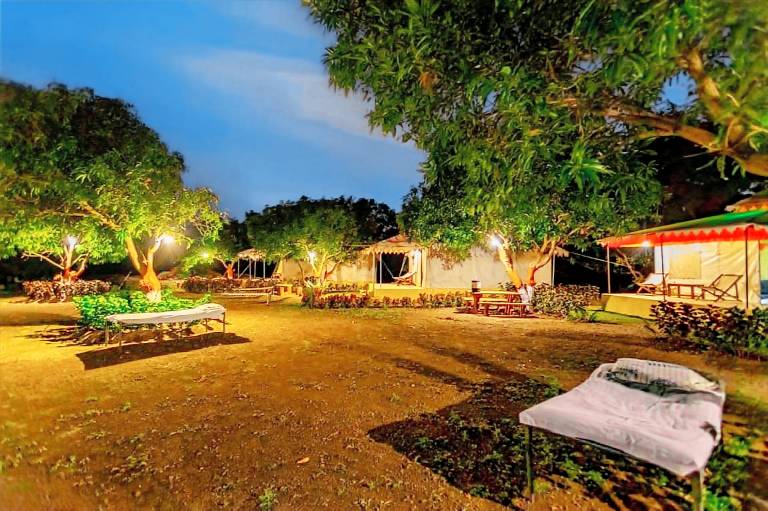 Amber ReSort — photo 4