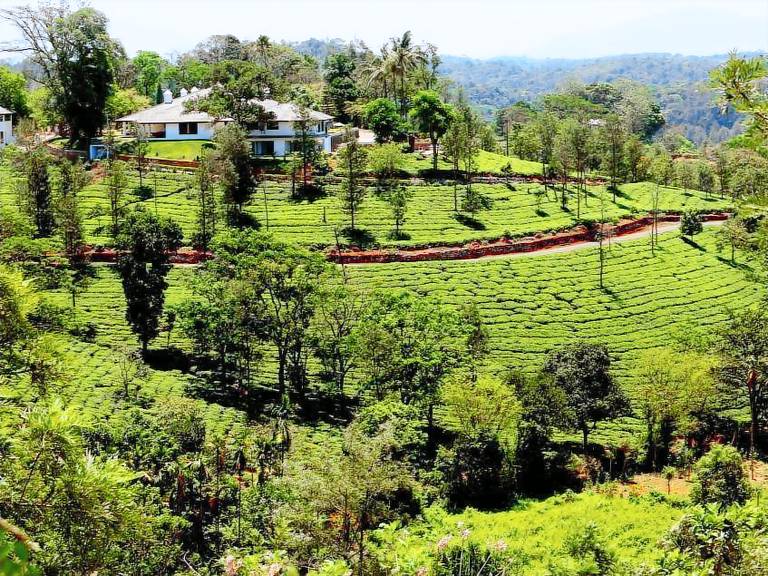 Serviced apartment  Thalappuzha