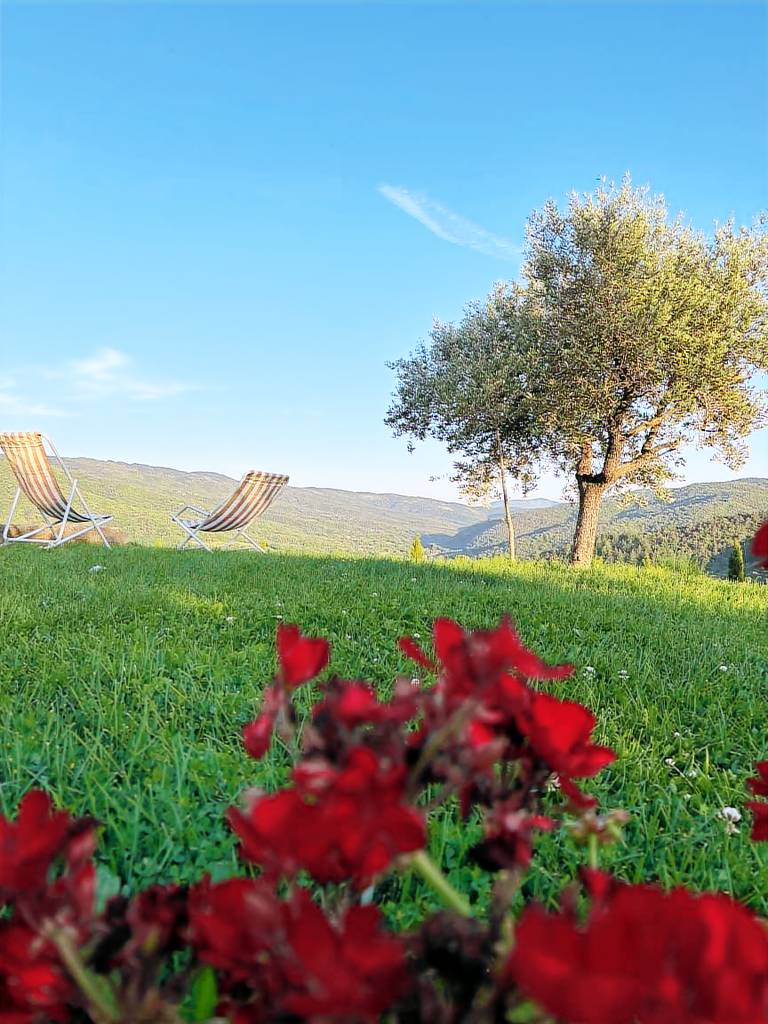 Agriturismo D'ambiano Arezzo: Agriturismo D'ambiano Arezzo — photo 5