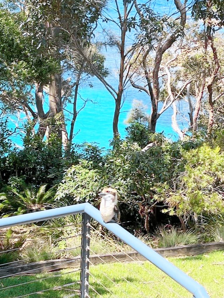 House  Mollymook Beach