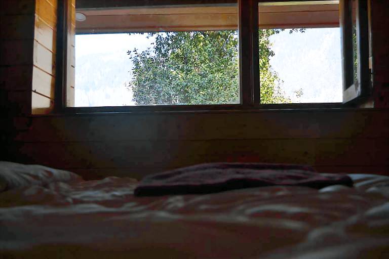 Forest Wood Cottage — photo 4