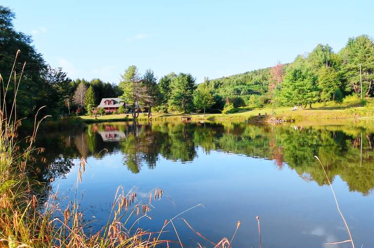 Cabin Windham