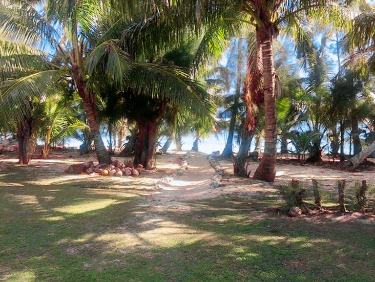 House Cook Islands