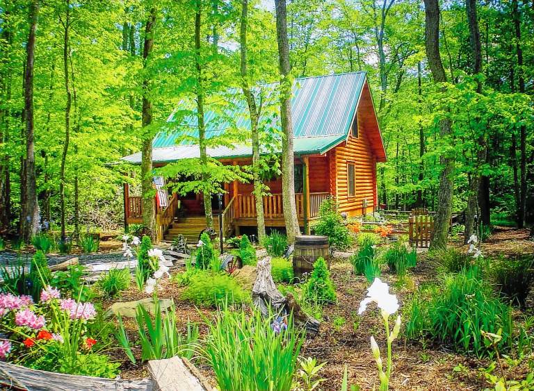 House  Bald Mountain