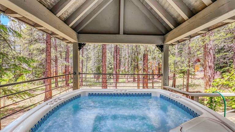 Cabin Donner Lake