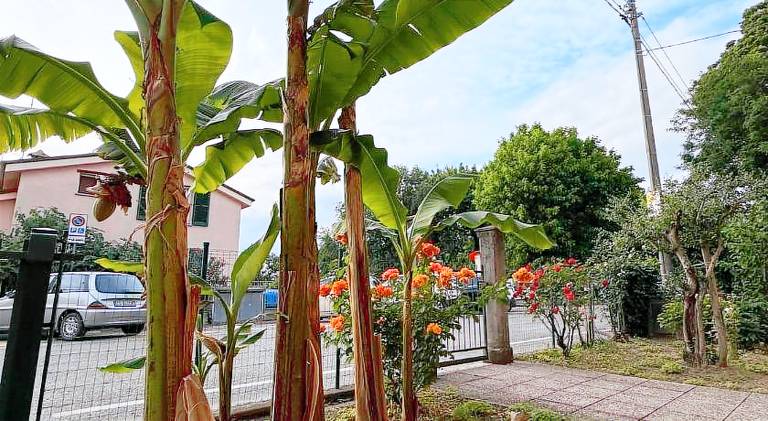 B&B Il Balcone Fiorito in Imola