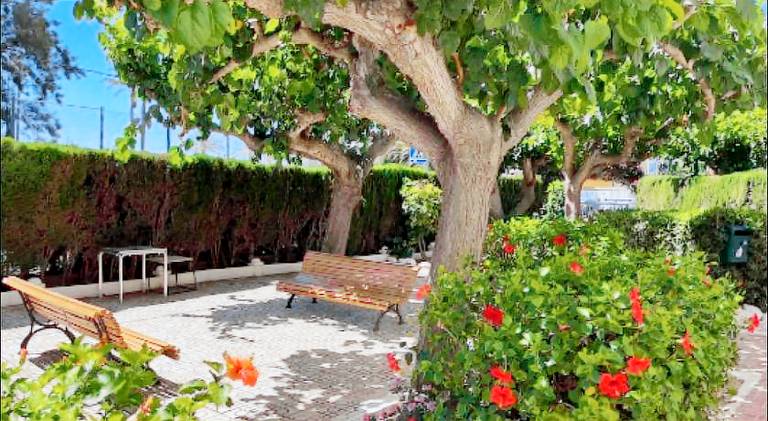 Holiday apartment with terrace | Next to the beach | Pet-friendly — photo 4