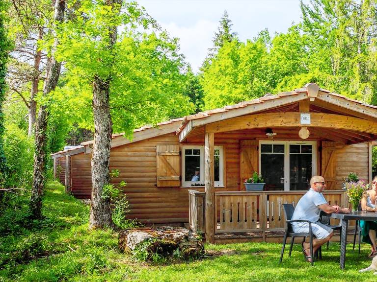 Children-friendly pleasant chalet with heated pool & terrace | Dogs allowed — photo 3