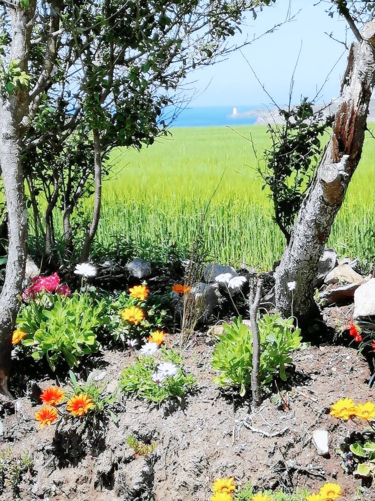 Gite with patio, barbecue & yard | Sea view | Dogs allowed — photo 3