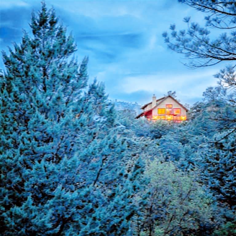 Cabin Pine