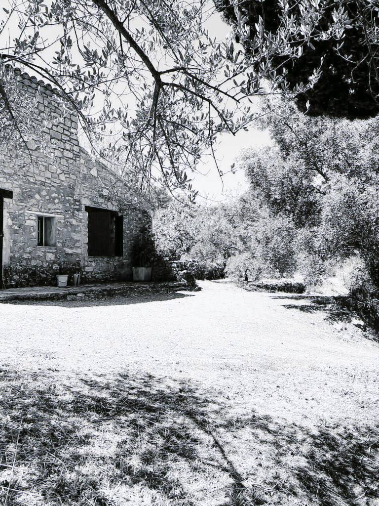 foto4