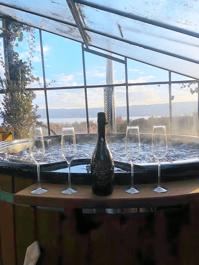 Ferienwohnung  Reichenau