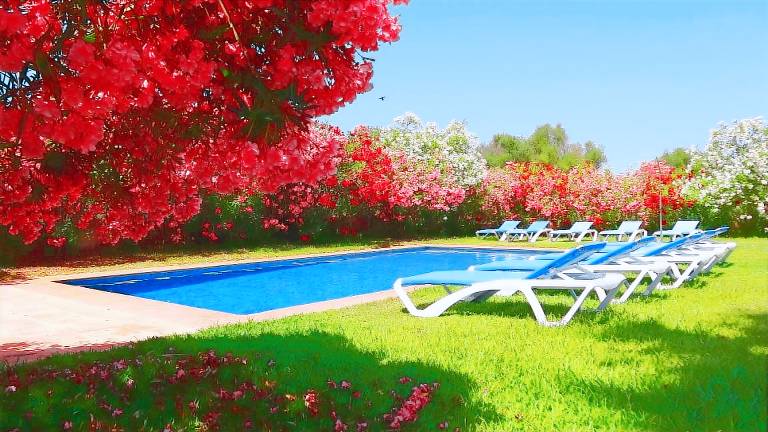 Beautiful Majorcan Country House Son Mas with Private Pool & Free Wi-Fi — photo 5