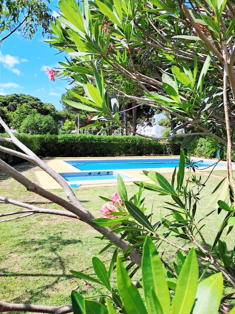 Casa Praia da Rocha Baixinha
