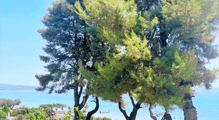 Rental apartment with terrace & yard | Beach nearby | Pets are welcome — photo 3