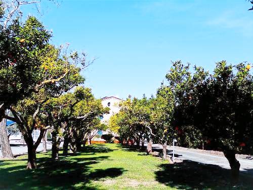 Bed & Breakfast Capua