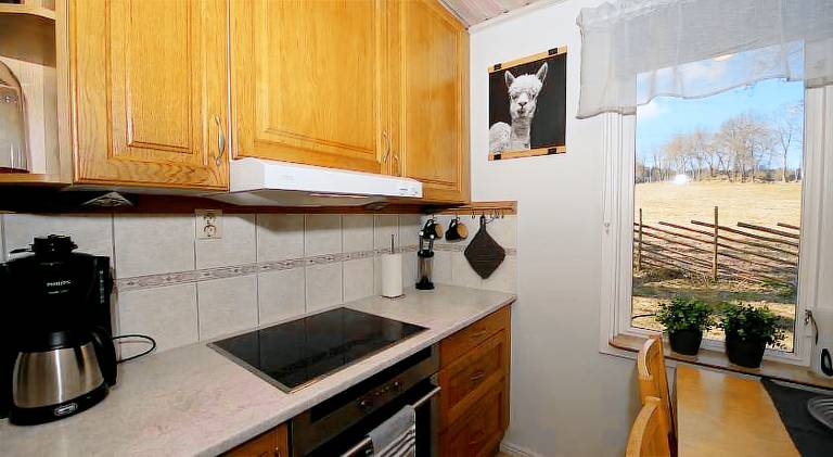 Villa with 1 room for 4 persons — photo 5