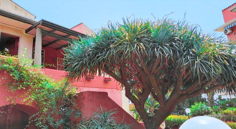 Vacation home with 2 rooms for 6 persons — photo 4