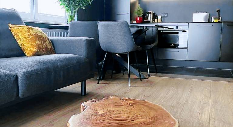 Apartment with terrace — photo 4