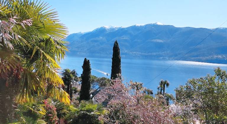 Bed & Breakfast Brissago