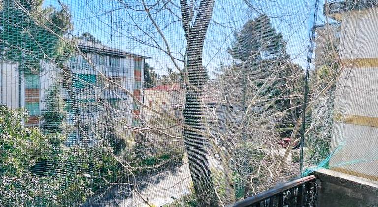 Apartment | Close to the beach | Pet-friendly — photo 5
