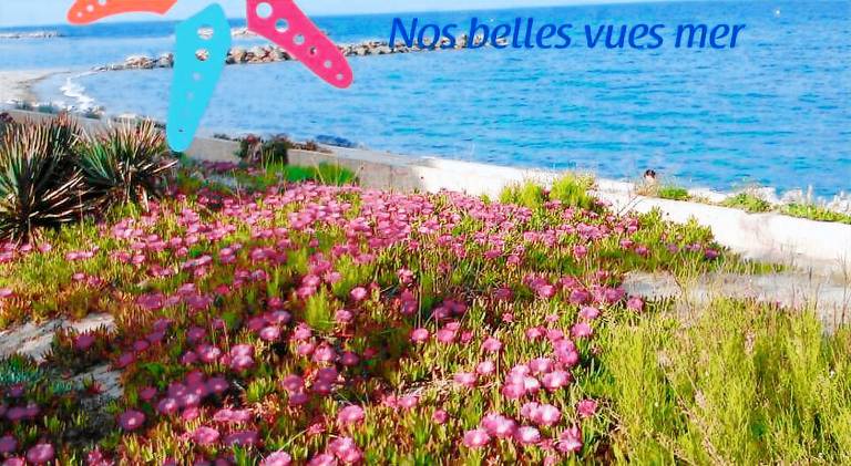 Charming apartment | Close to the beach | Pet-friendly in Torreilles