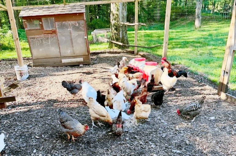Pet-Friendly Cottage, 2 Mi to Saugatuck Falls — photo 4