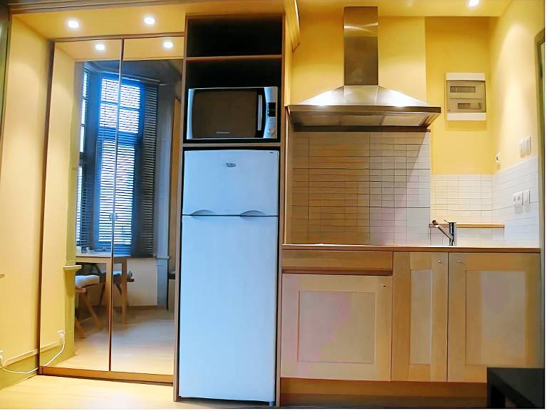 Serviced apartment | Next to European Parliament | Pets are welcome — photo 4