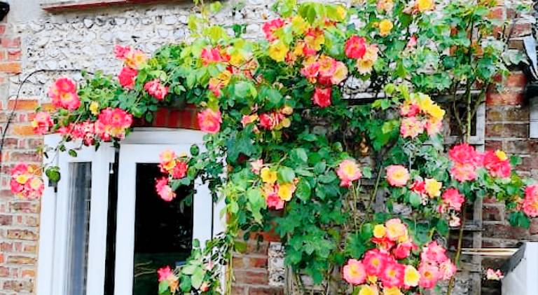 Vacation home with 3 rooms for 6 persons in Arundel