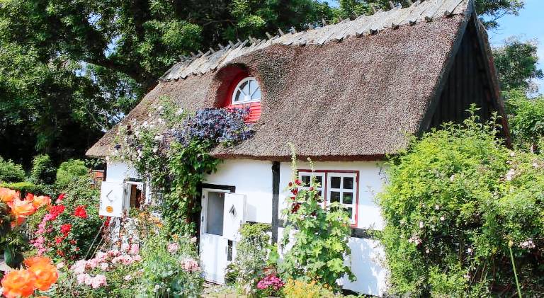Charming house | Pet-friendly — photo 3