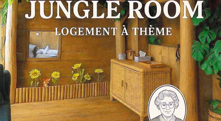 Les Chambres de Paulette - LOGEMENTS A THEMES - CHAMBRE JACK SPARROW - CHAMBRE JUNGLE - CHAMBRE RANC in Torreilles