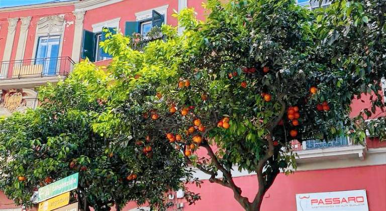 B&B La Cassa Armonica in Pozzuoli