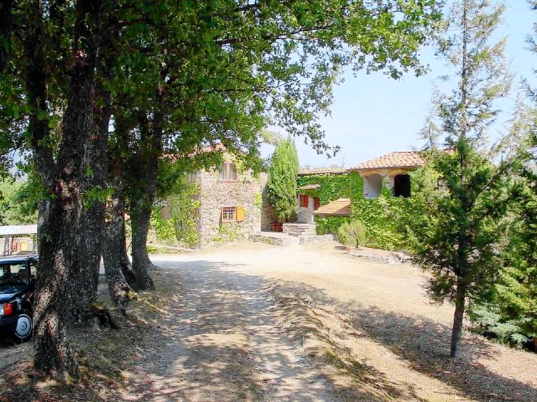 House with yard, terrace & pool | Nature view | Pet-friendly — photo 4