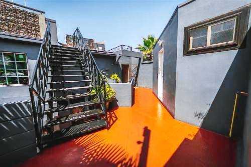 Stylish Apartment Upscale Chapultepec District — photo 5