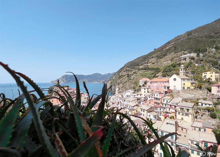 Rental apartment with yard & terrace in Vernazza