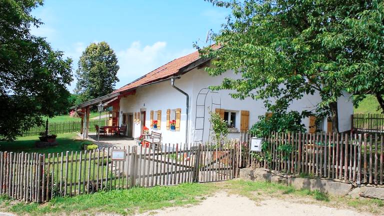 Ferienhaus Zandt