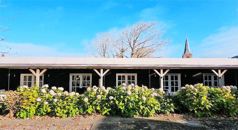 Holiday apartment with 2 rooms for 4 persons in Domburg