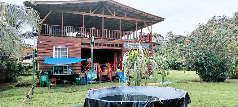 RAB Hostel Bocas — photo 2
