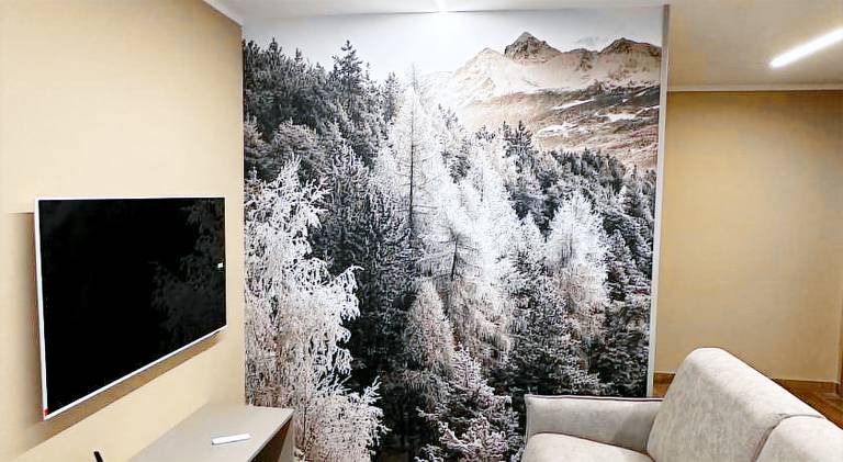 Aosta Center Holidays Apartments Ski & Bike Box in Jovencan