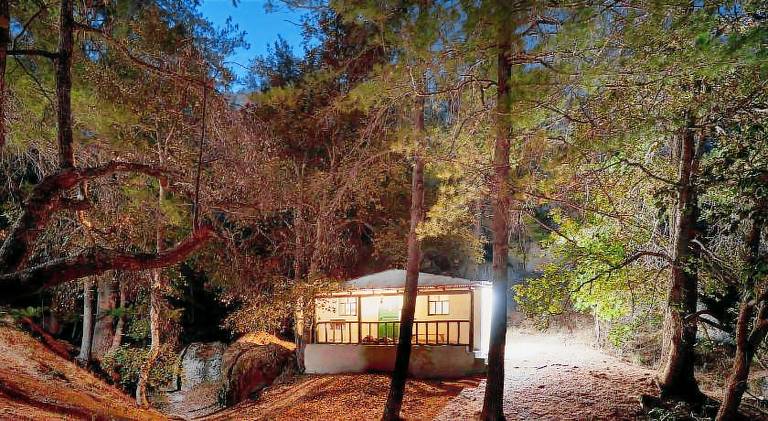 Vacation home with yard — photo 3